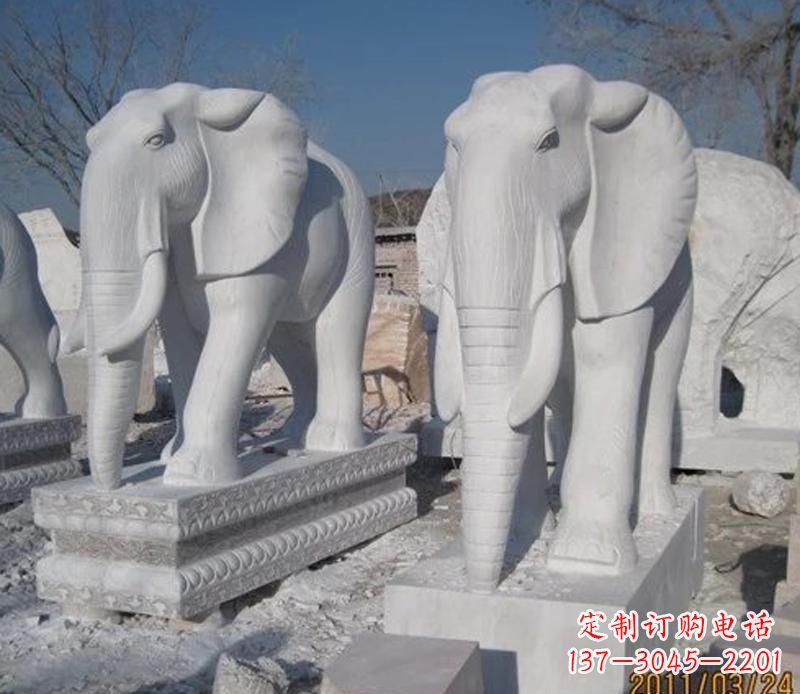 温州白色大象