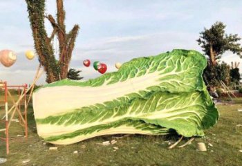温州新鲜白菜“精致生活”系列