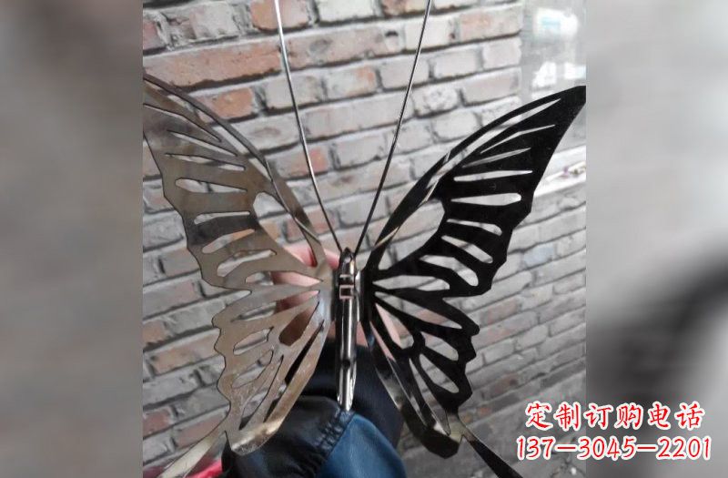 温州不锈钢抽象蝴蝶