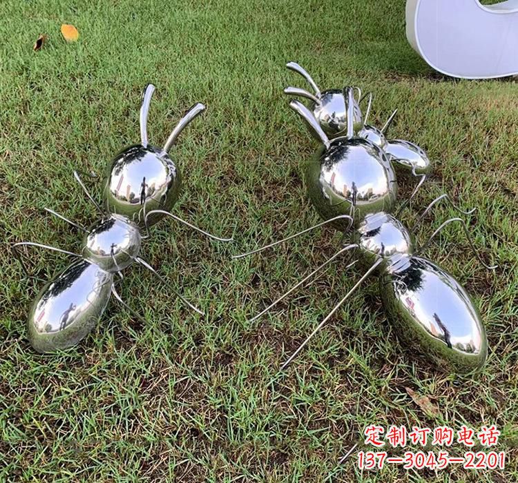 温州不锈钢昆虫蚂蚁雕塑
