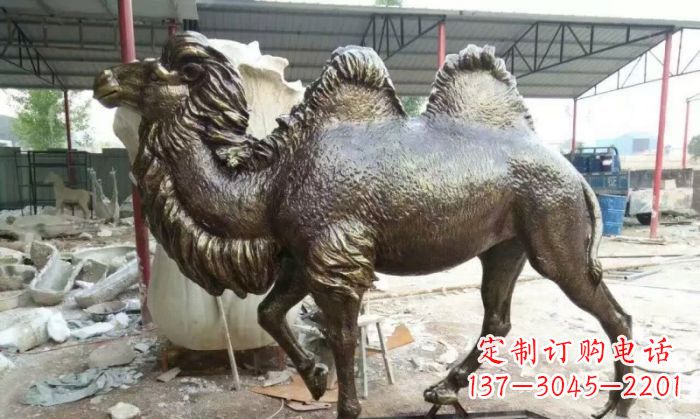 温州铜雕骆驼,精致优雅