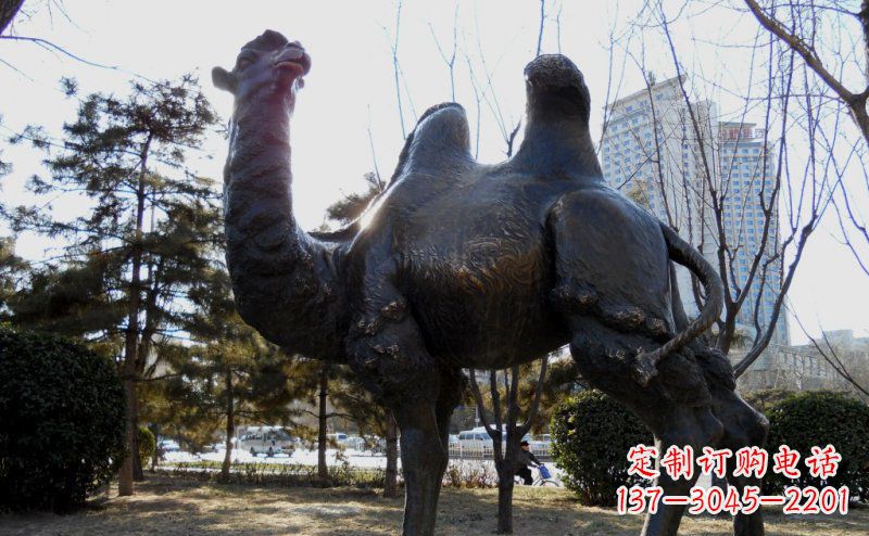 温州公园骆驼动物铜雕 (5)