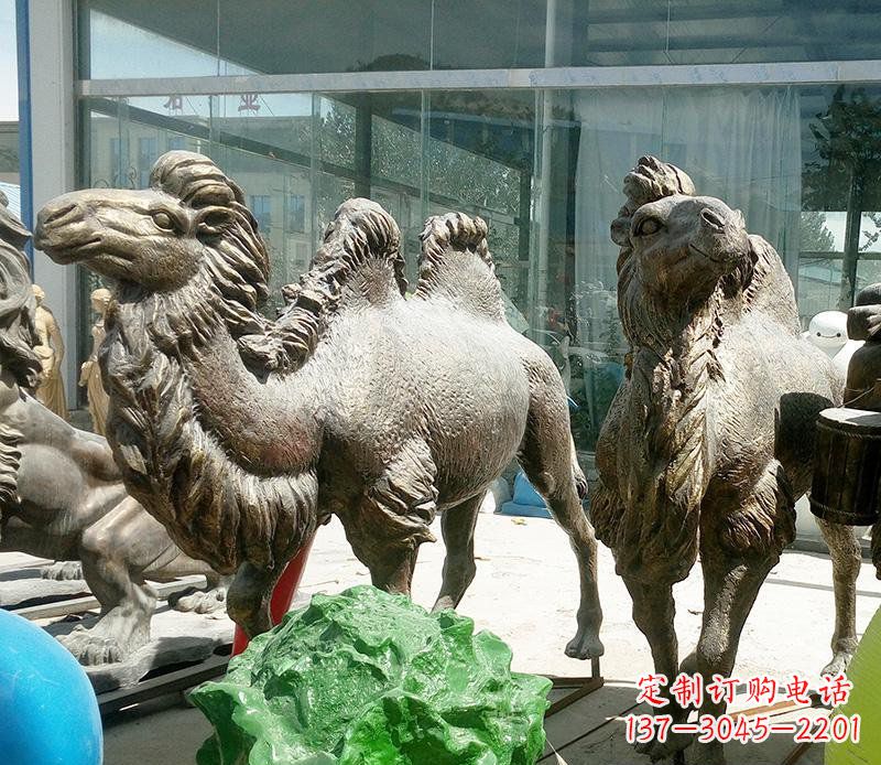 温州公园骆驼动物铜雕 (2)