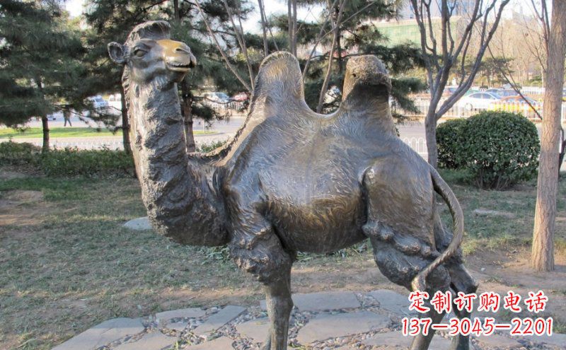 温州铜骆驼雕塑——浓缩自然美丽