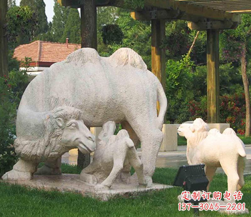 温州公园骆驼一家石雕