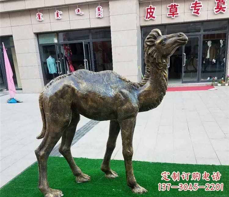 温州公园小骆驼动物铜雕 (2)