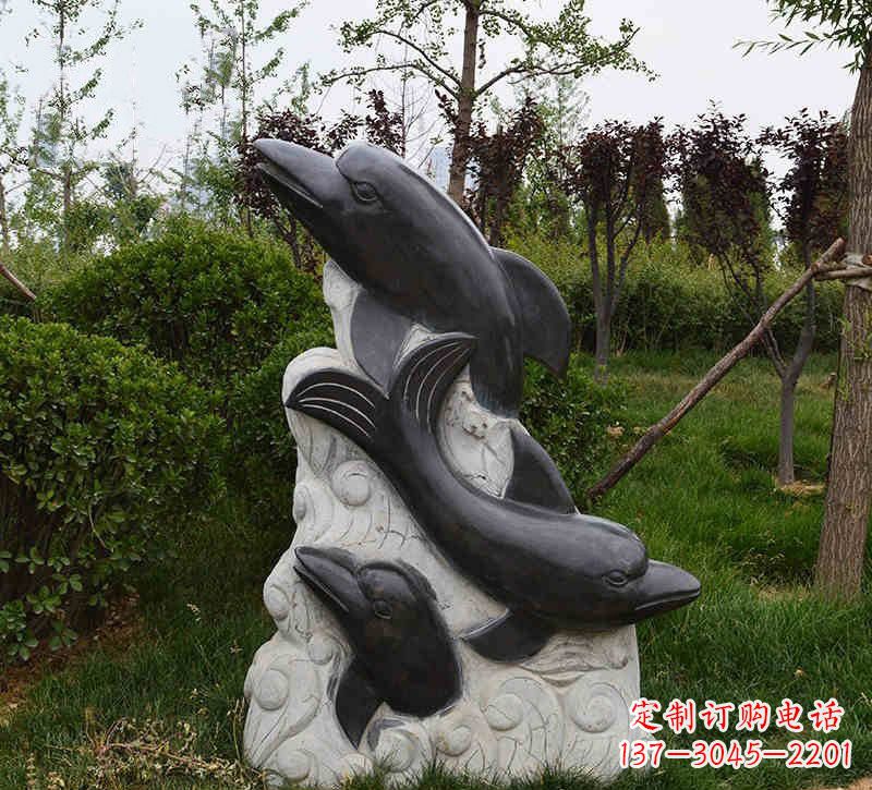 温州海豚石浮雕