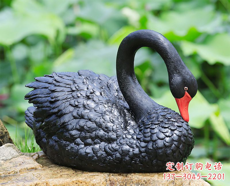 温州黑色曲颈天鹅雕塑-玻璃钢公园水景动物摆件