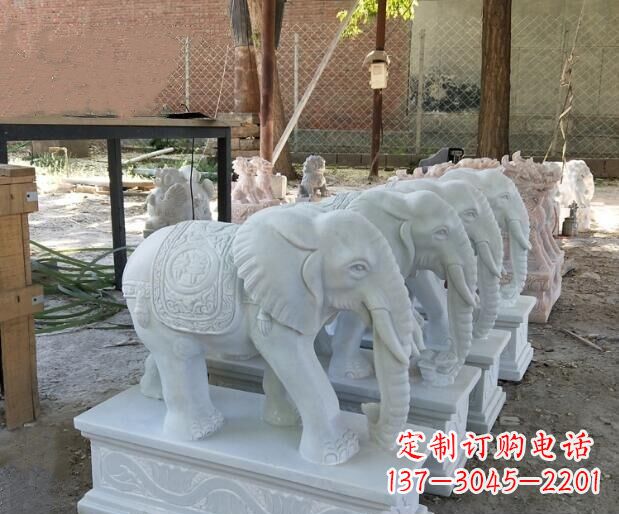温州美轮美奂的大象雕塑