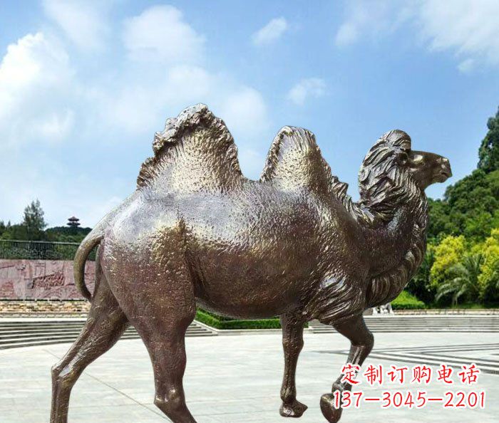 温州欣赏骆驼美感,购买骆驼铜雕
