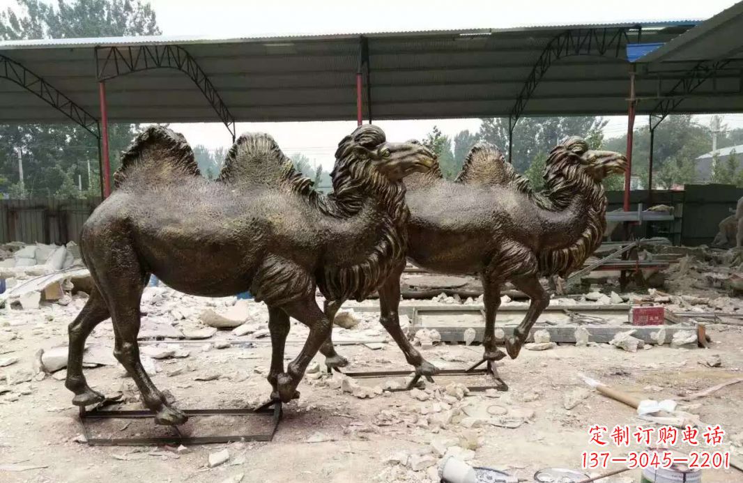 温州欣赏大自然的艺术之作——骆驼铜雕