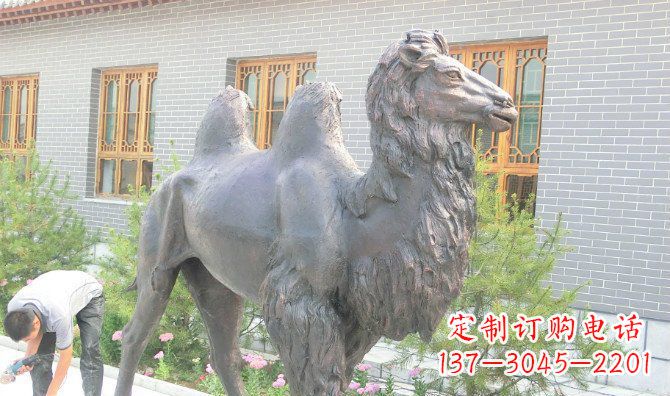 温州精美的骆驼铜雕,提升您的公园气质