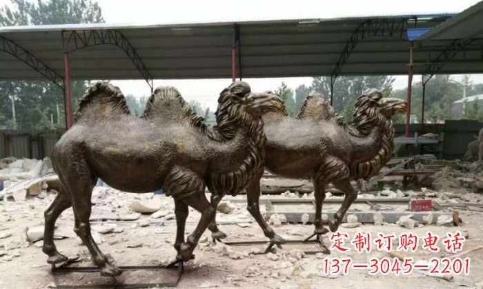 温州典雅优美的骆驼铜雕