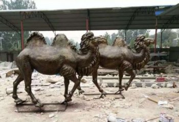 温州欣赏大自然的艺术之作——骆驼铜雕