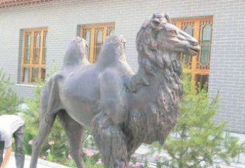 温州精美的骆驼铜雕，提升您的公园气质