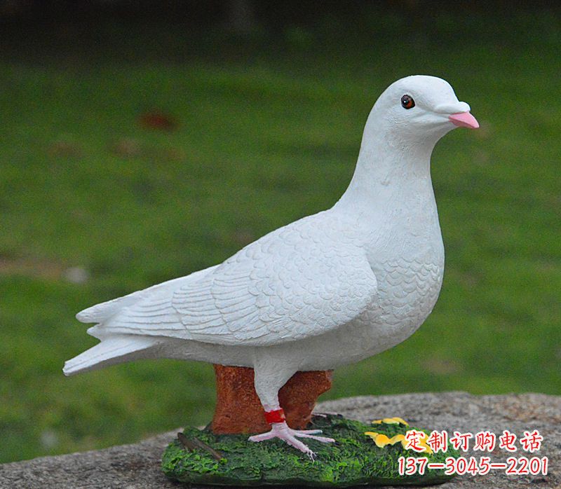 温州美丽的和平鸽雕塑,传递暖暖的正能量