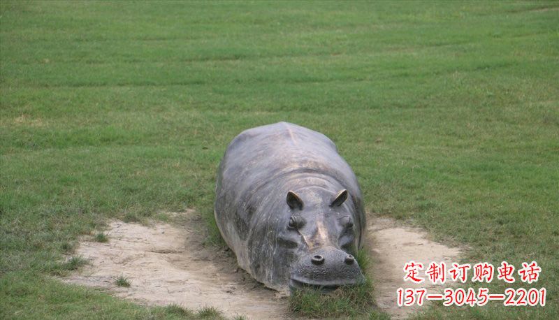 温州铜雕趴着的河马