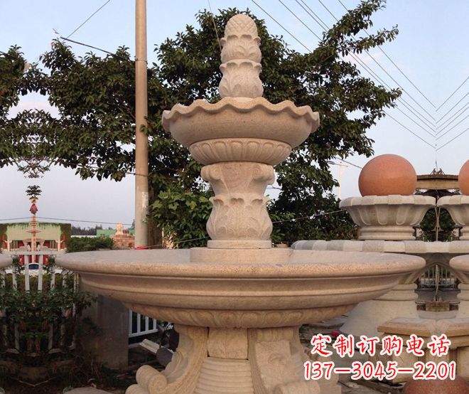 温州小区景观大型喷泉石雕 (4)