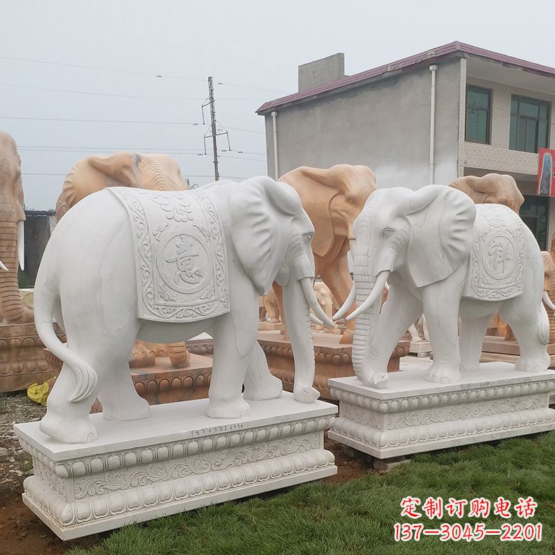 温州学校石雕大象