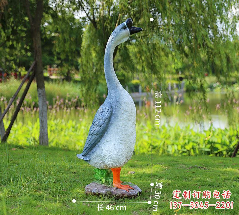 温州站立立脖灰色天鹅